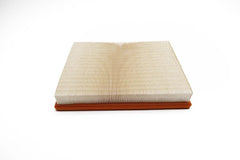 Maserati Quattroporte engine air filter TopEuro #2088